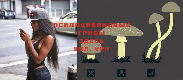 PSILOCYBIN Каменка